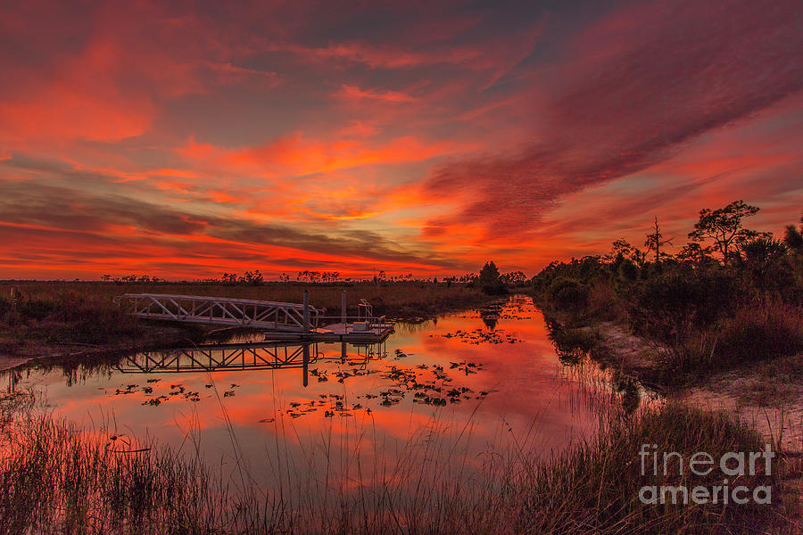 Explosive Sunset at Pine Glades Photograph by Tom Claud