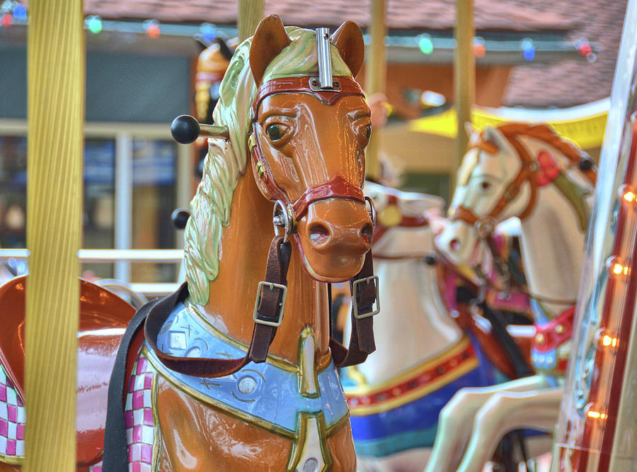 Expressive Carousel Photograph by Jamart Photography