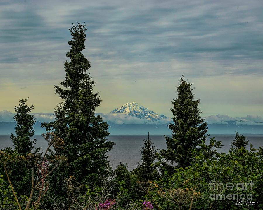 Exquisite View - Alaska Photograph