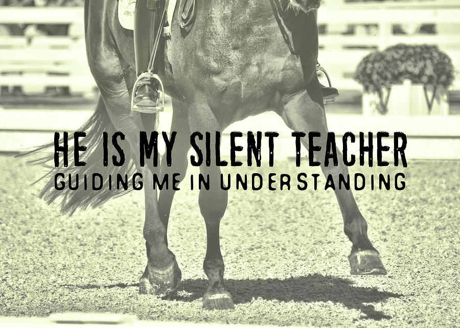 EXTEND THE TROT quote Photograph by Dressage Design