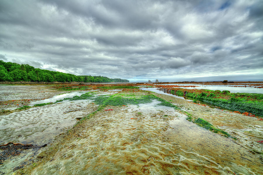 Extreme Low Tide at Bullman Beach Photograph by Spencer McDonald