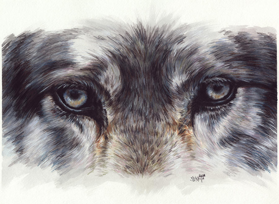 Wolf Eyes Painting - Eye-catching Wolf by Barbara Keith