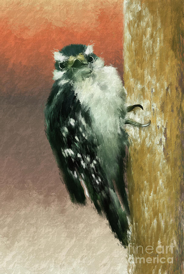 Eye Contact With A Little Downy Woodpecker Digital Art by Lois Bryan