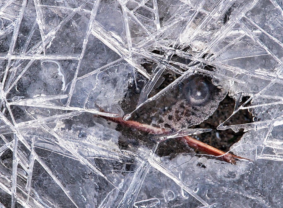 Ice Photograph - Eye of the Ice by Christopher Behrend Ice Photograph - Eye of the Ice by Christopher Behrend