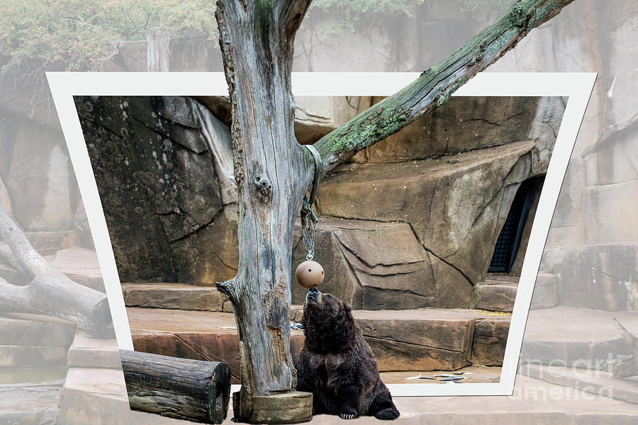 Eye on the Ball Photograph by Deborah Klubertanz Fine Art America