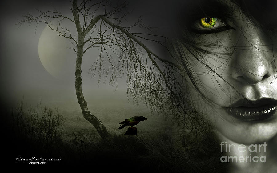Eyes in the Night by Kira Bodensted Eyes in the Night by Kira Bodensted