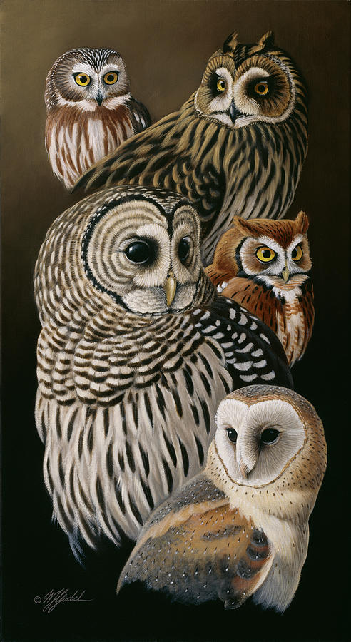 Animal Painting - Eyes Of The Night - Owls by Wilhelm Goebel