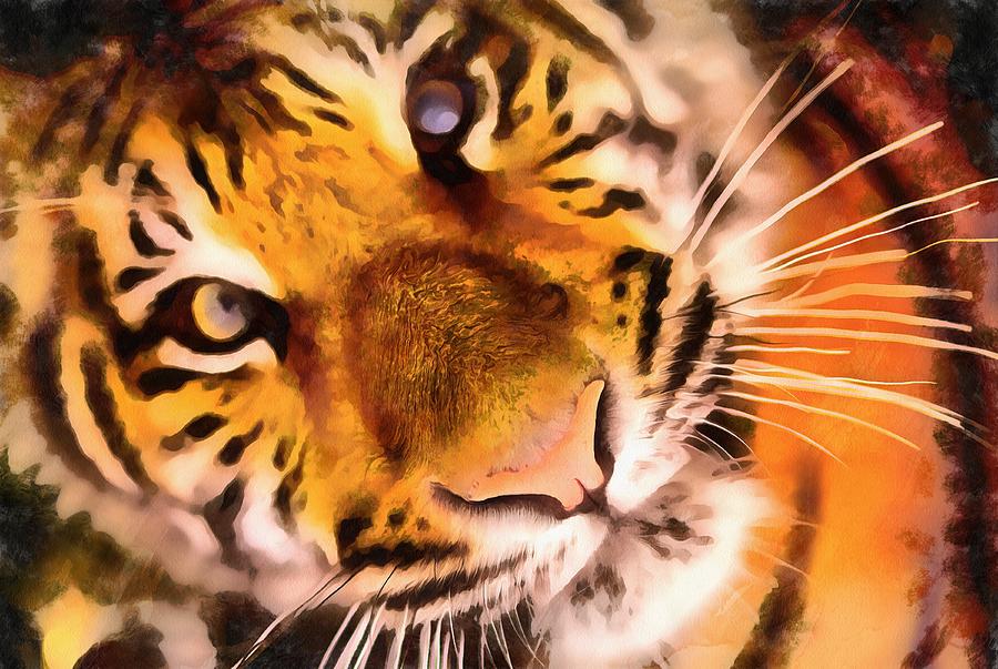 Eyes of the Tiger by Harry Warrick Eyes of the Tiger by Harry Warrick