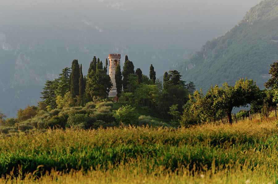 Ezzelina Tower, Roman Ezzelino Photograph by Massimo Calmonte (www.massimocalmonte.it)
