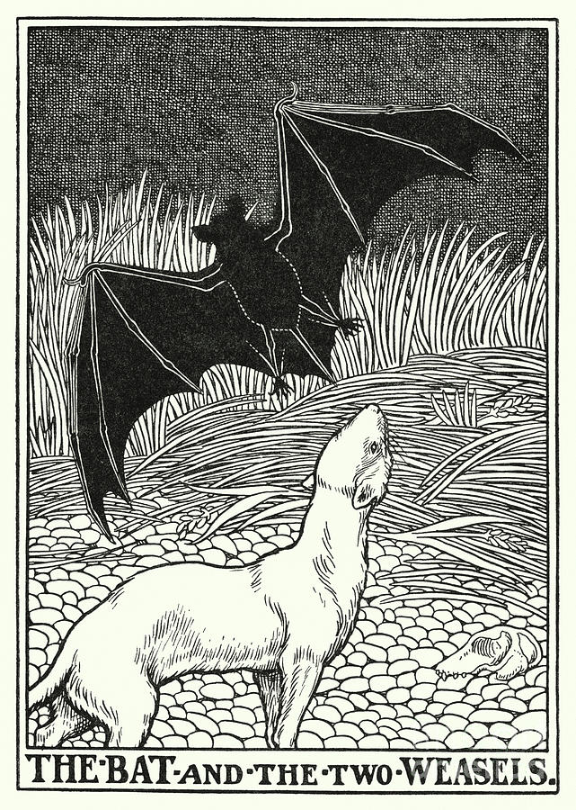 Fables Of La Fontaine, The Bat And The Two Weasels Painting by Percy James Billinghurst