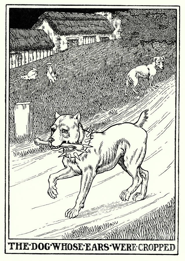 Fables Of La Fontaine, The Dog Whose Ears Were Cropped Painting by Percy James Billinghurst