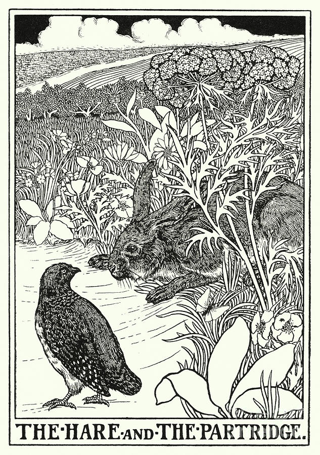 Fables Of La Fontaine, The Hare And The Partridge Painting by Percy James Billinghurst
