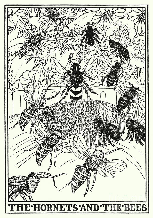 Fables Of La Fontaine, The Hornets And The Bees Painting by Percy James Billinghurst