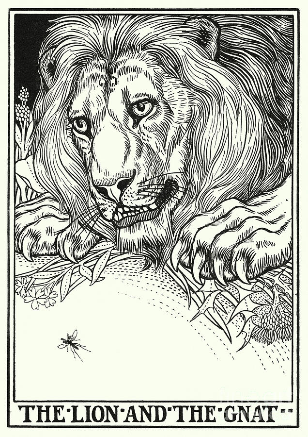 Fables Of La Fontaine, The Lion And The Gnat Painting by Percy James Billinghurst