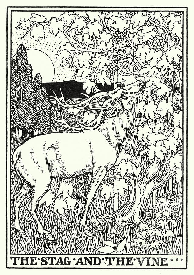 Fables Of La Fontaine, The Stag And The Vine Painting by Percy James Billinghurst