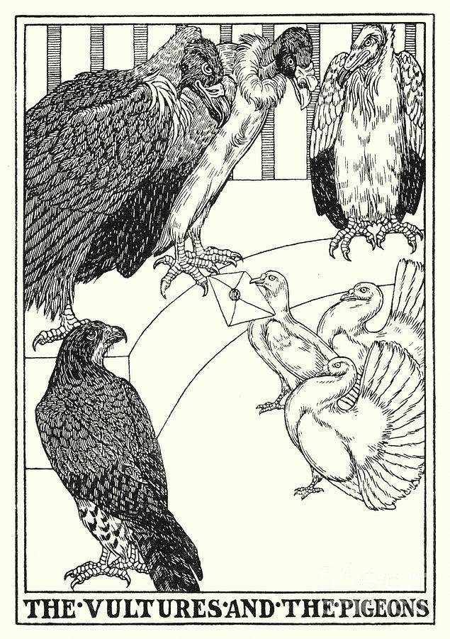 Animal Painting - Fables Of La Fontaine, The Vultures And The Pigeons by Percy James Billinghurst