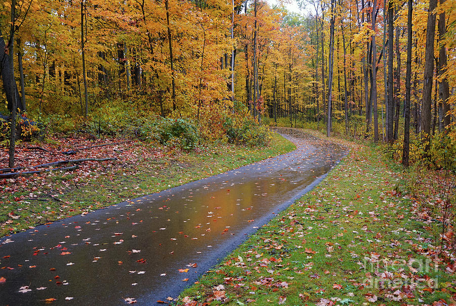 Fabulous Fall Rain Photograph by Rachel Cohen