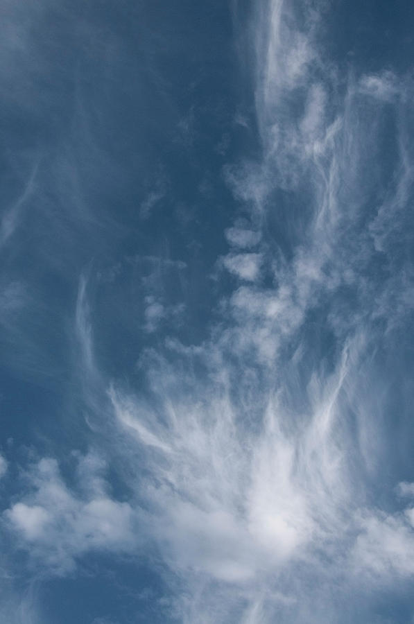 Face in cloud by Kathleen Gauthier Face in cloud by Kathleen Gauthier