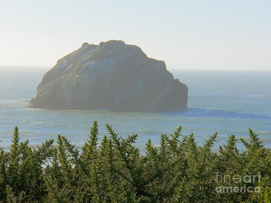 Face Rock Beach Bandon Oregon Photograph by Art Sandi | Pixels