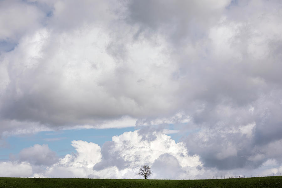 Facing The Storm by Scott Bean Facing The Storm by Scott Bean