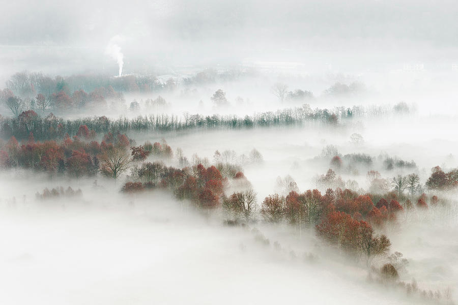 Factory Fog Photograph by Marco Galimberti