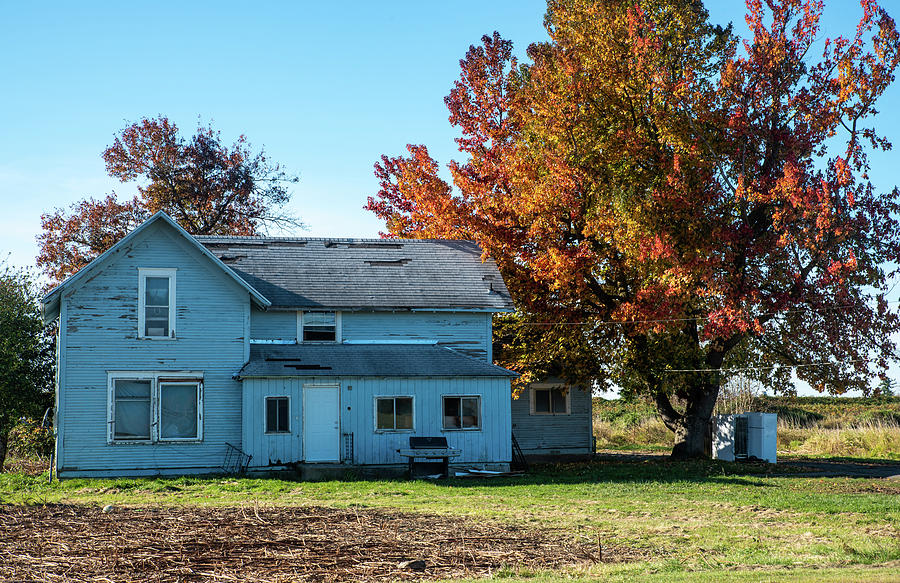 Faded Blue House and Autumn Maple by Tom Cochran Faded Blue House and Autumn Maple by Tom Cochran
