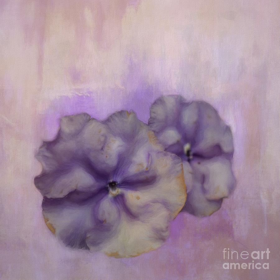 Flower Mixed Media - Faded Impatiens by Eva Lechner
