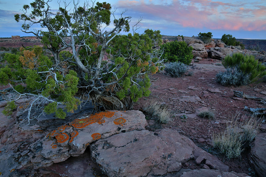 Fading Color at Green River Overlook in Canyonlands Photograph by Ray Mathis