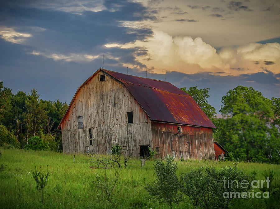 Fading Glory #2 Photograph by Teresa A and Preston S Cole Photography ...