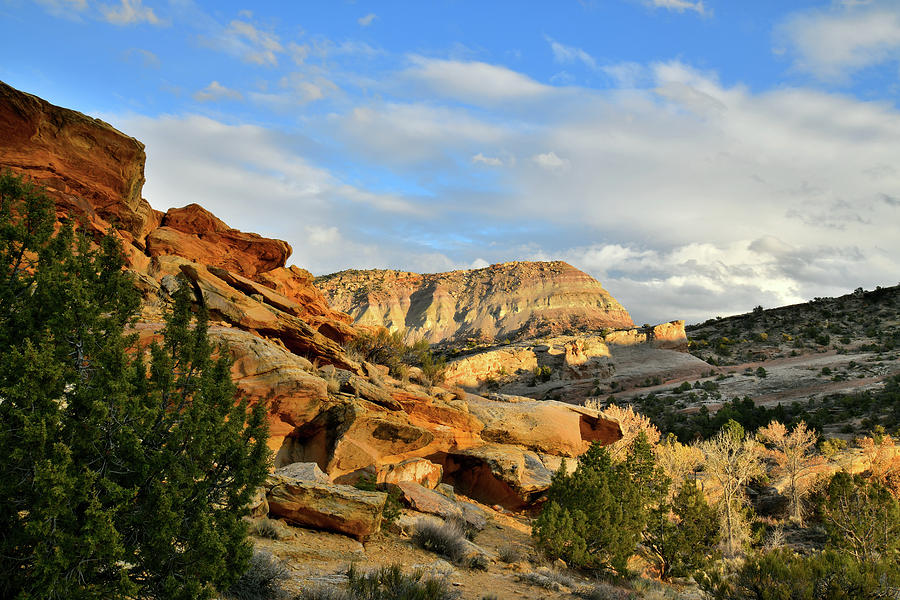 Fading Light on East Colorado National Monumenrt Photograph by Ray Mathis