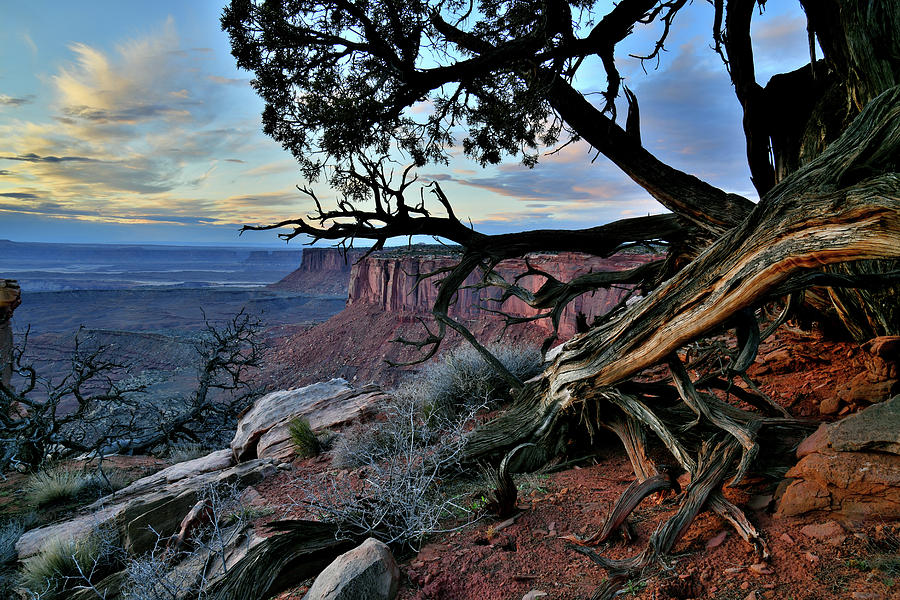 Fading Light on Orange Cliffs of Canyonlands Photograph by Ray Mathis