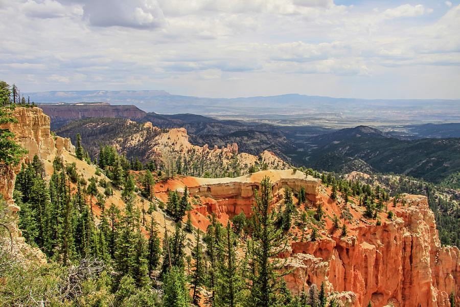 Fair View of Bryce Photograph by Dawn Richards