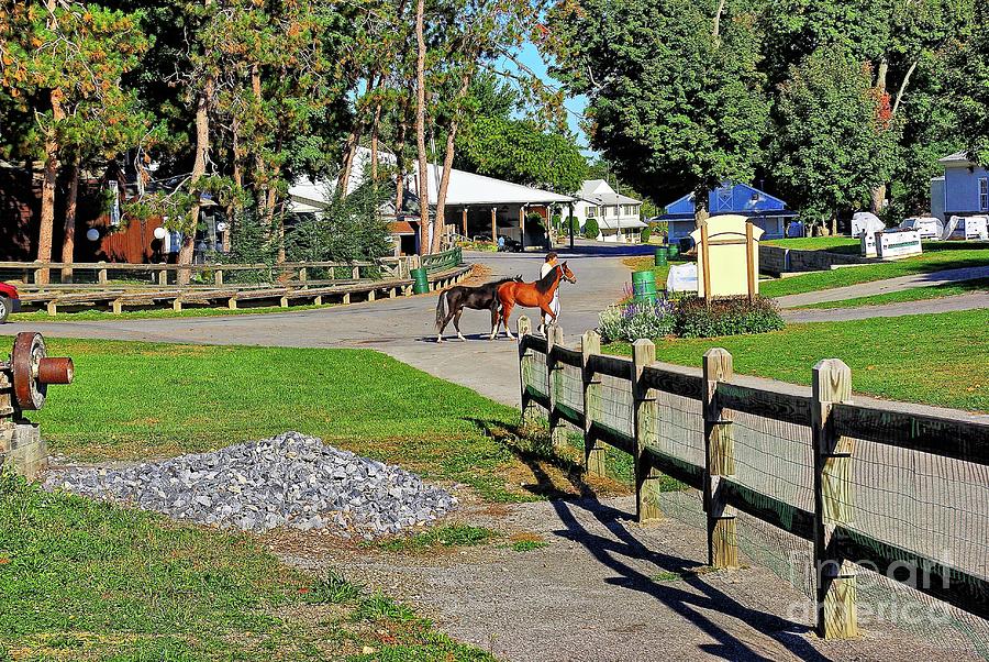 Fairgrounds in Rhinebeck New York Photograph by Zal Latzkovich Pixels