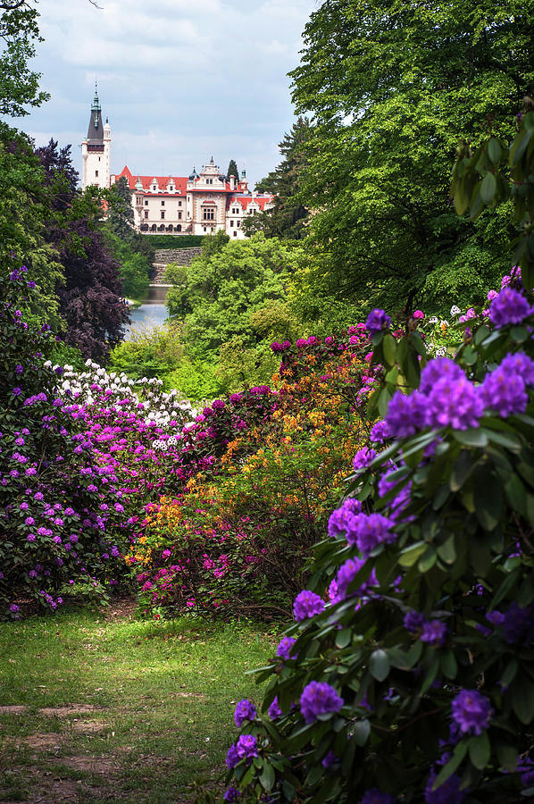 Fairy Castle through Blooming Rhododendrons Photograph by Jenny Rainbow