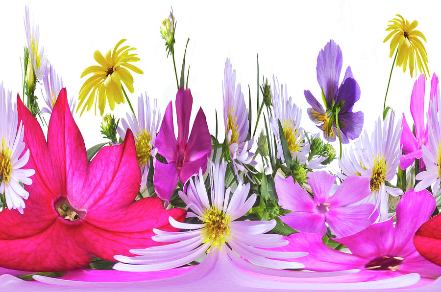 Flower Mixed Media - Fairy Flowers by Larisa Fedotova