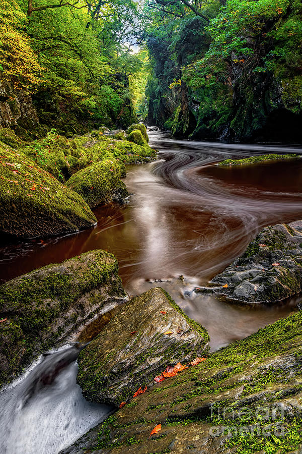 Fairy Glen Gorge by Adrian Evans Fairy Glen Gorge by Adrian Evans