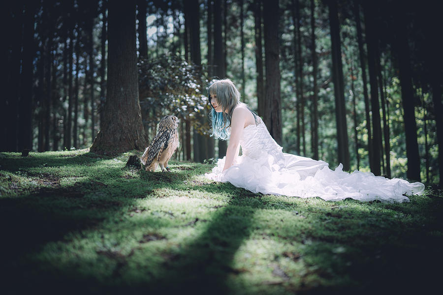 Fairy Photograph by H112o1
