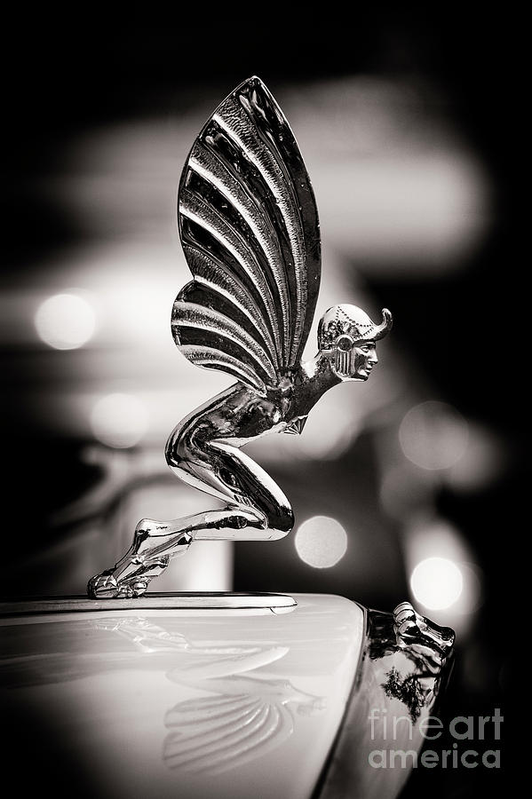 Fairy Hood Ornament  Photograph by Tim Gainey