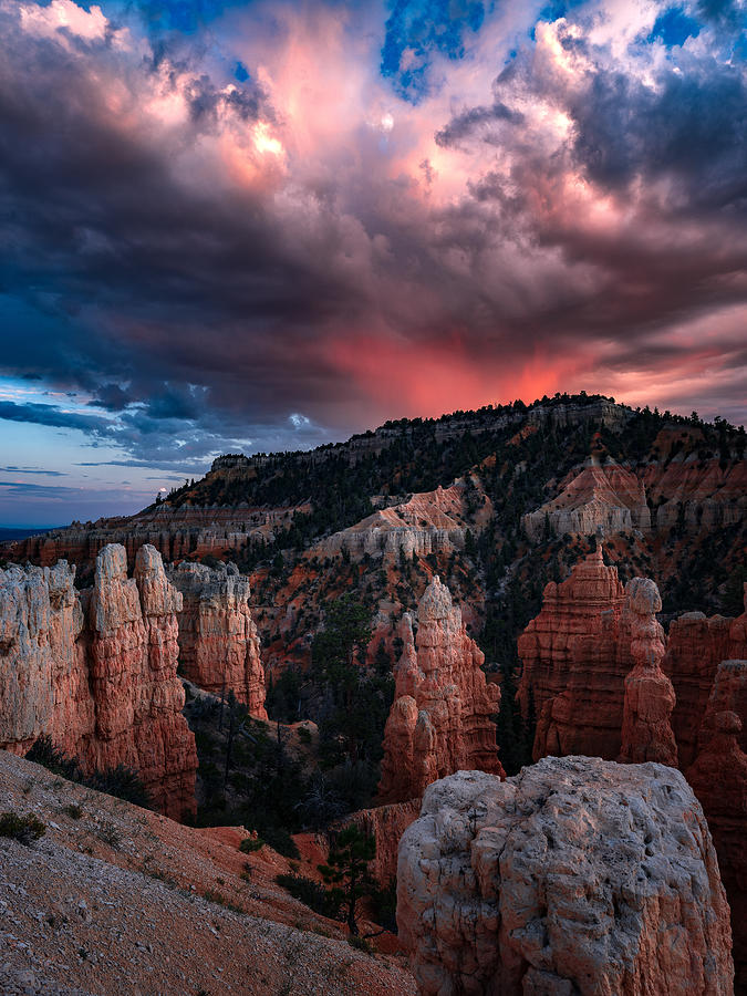 Bryce Canyon National Park Photograph - Fairy Land by Edgars