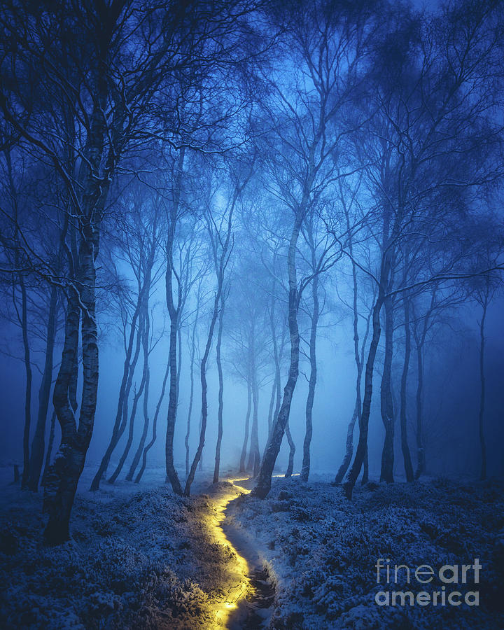 Fairy Path Photograph by James Mills - Fine Art America