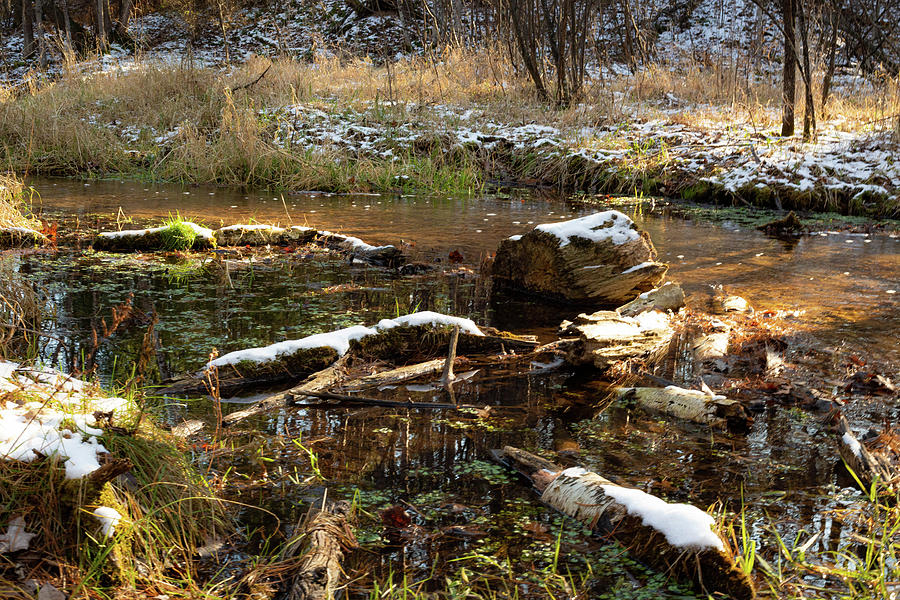 Fairy Pond Photograph by Krista Heinz - Pixels