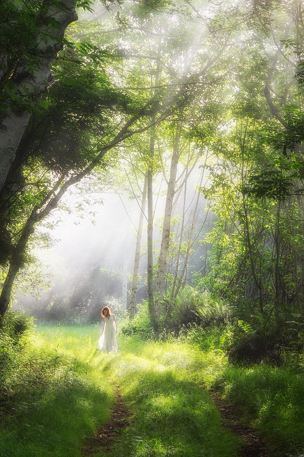 Summer Photograph - Fairyland by Aidong Ning