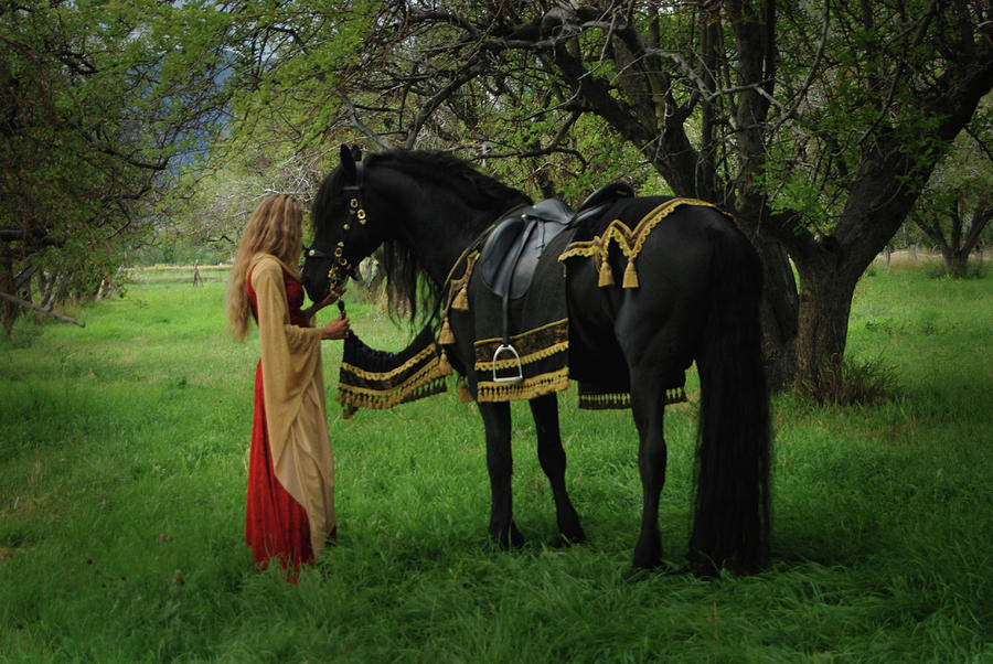 Fairytale by Carol Whitaker Fairytale by Carol Whitaker