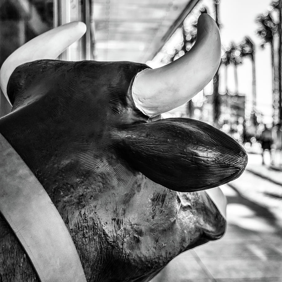 Cow Photograph - Fake Cow by Borja Robles Cow Photograph - Fake Cow by Borja Robles