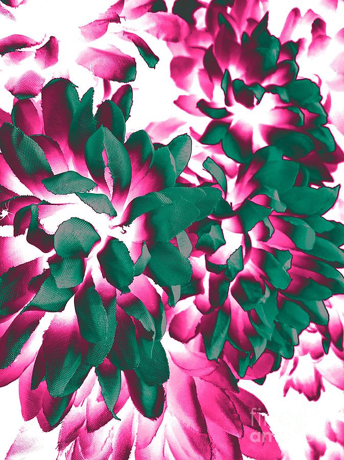 Abstract Photograph - Fake Pink Inverted by Robert Coon Jr