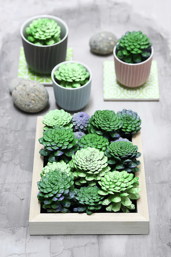 Fake Succulents Hand-made From Pine Cones Photograph by Thordis Rggeberg