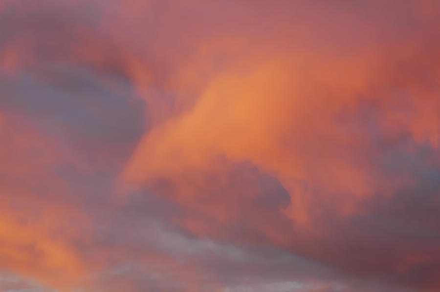 Falcon Cloud by Kathleen Gauthier Falcon Cloud by Kathleen Gauthier