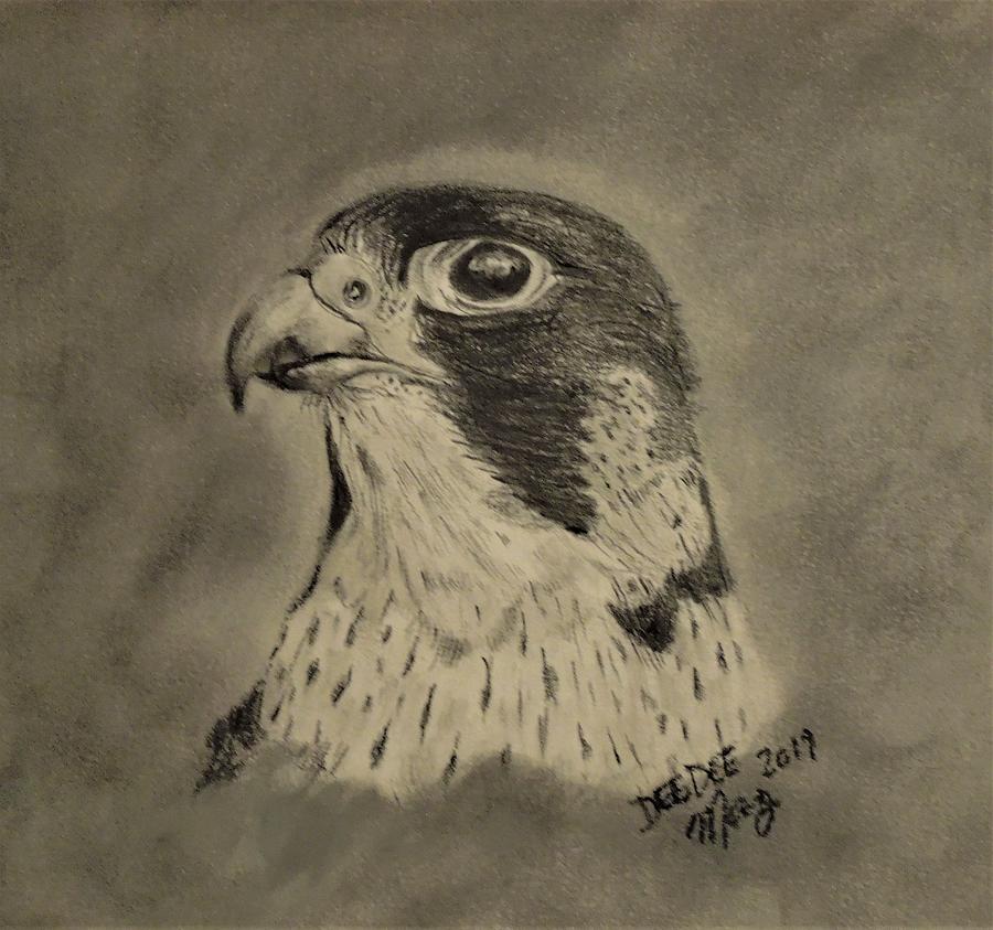 Falcon