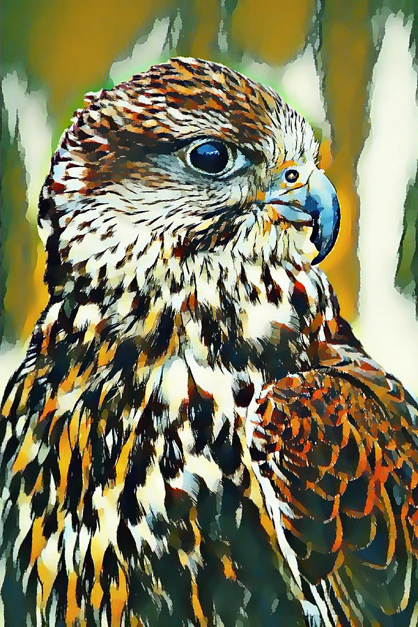 Falcon portrait close up Painting by Jeelan Clark