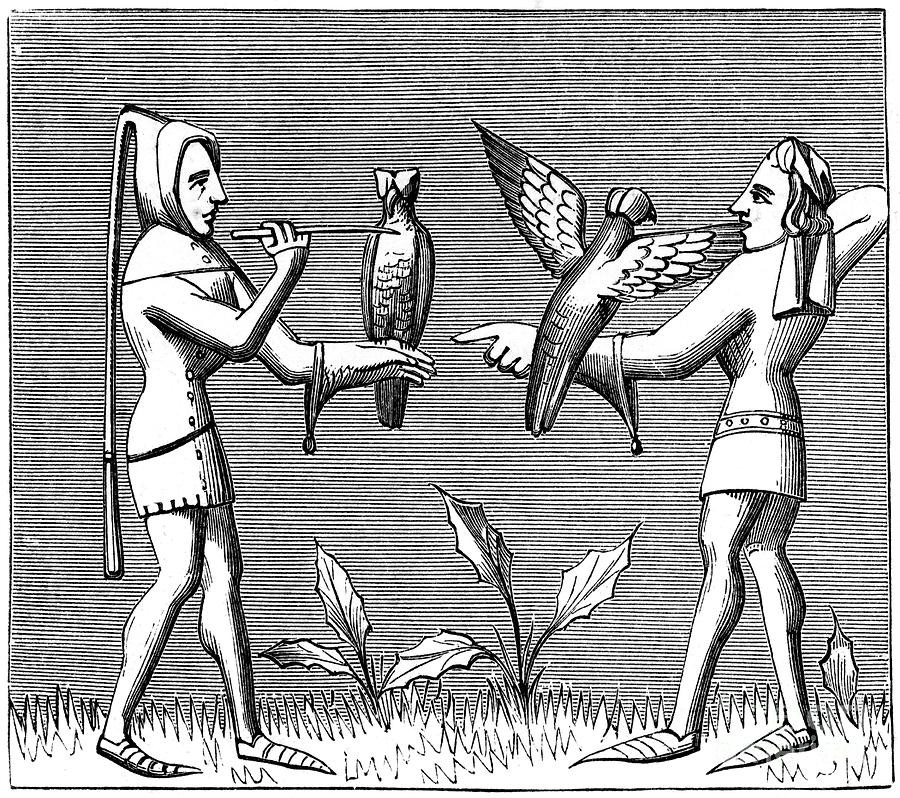 Falconers Dressing Their Birds, 14th Drawing by Print Collector Falconers Dressing Their Birds, 14th Drawing by Print Collector